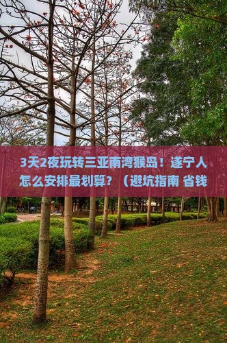 遂宁去三亚南湾猴岛哪里玩