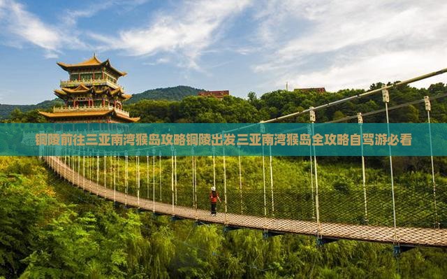 铜陵前往三亚南湾猴岛攻略