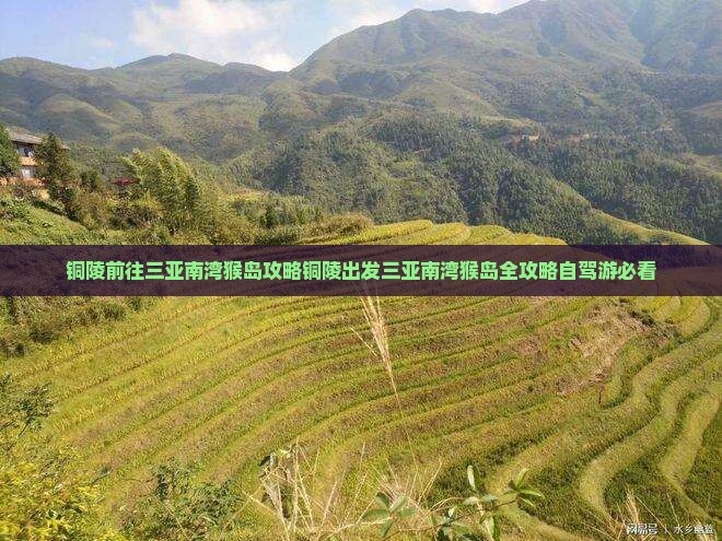 铜陵前往三亚南湾猴岛攻略