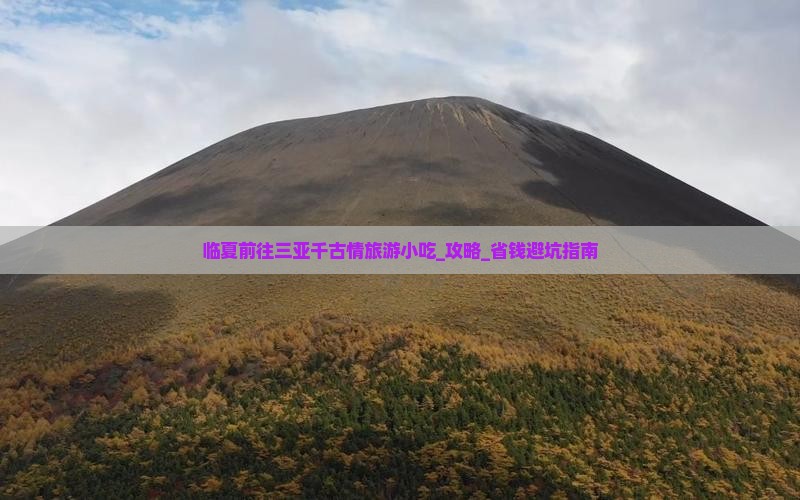临夏前往三亚千古情旅游小吃