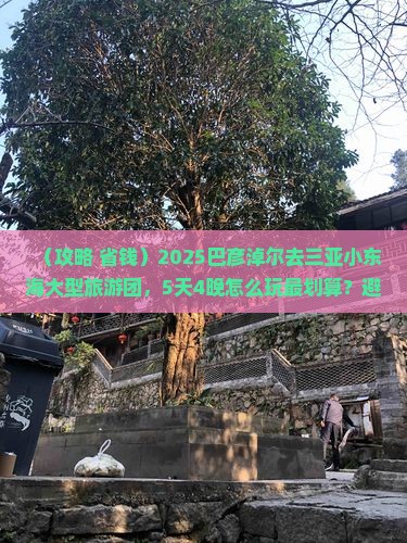 巴彦淖尔去三亚小东海大型旅游团