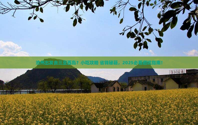 沧州出发三亚西岛旅游小吃