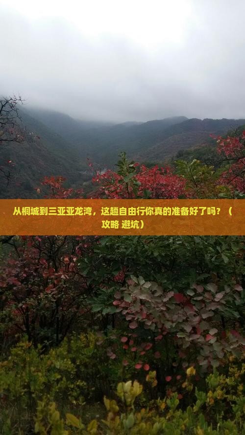 桐城前往三亚亚龙湾自由行 桐城前往三亚亚龙湾自由行