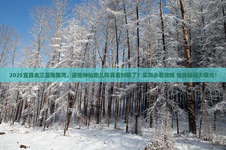 宜昌前往三亚海棠湾必玩地