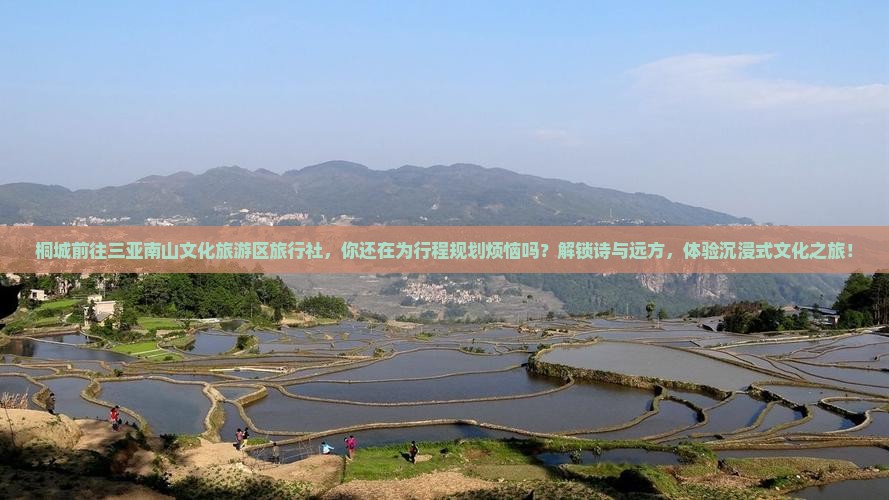 桐城前往三亚南山文化旅游区旅行社