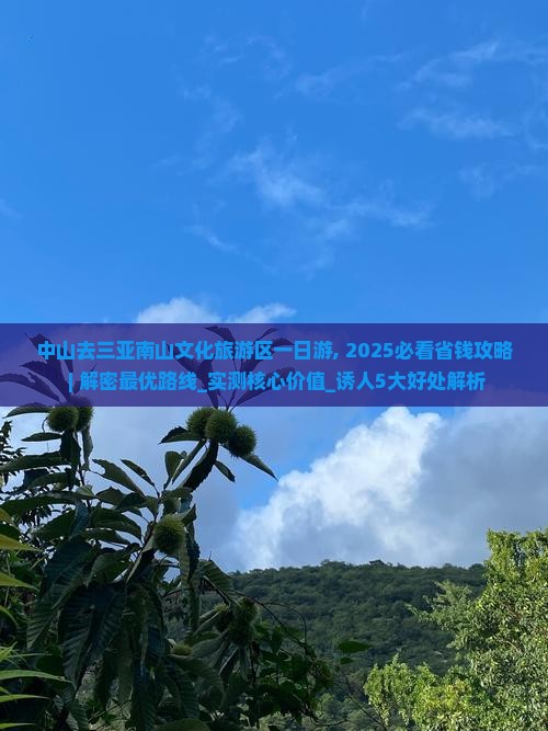 中山去三亚南山文化旅游区一日游