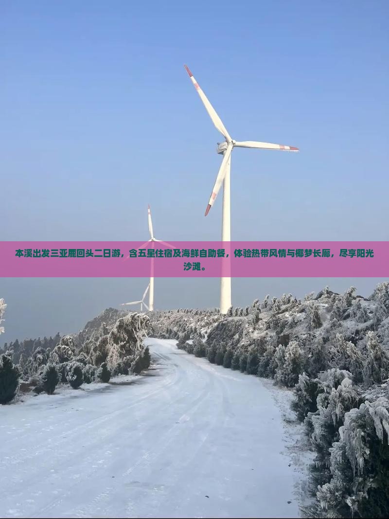 本溪出发三亚鹿回头二日游