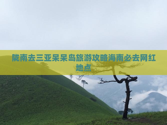 陇南去三亚呆呆岛旅游网红地点