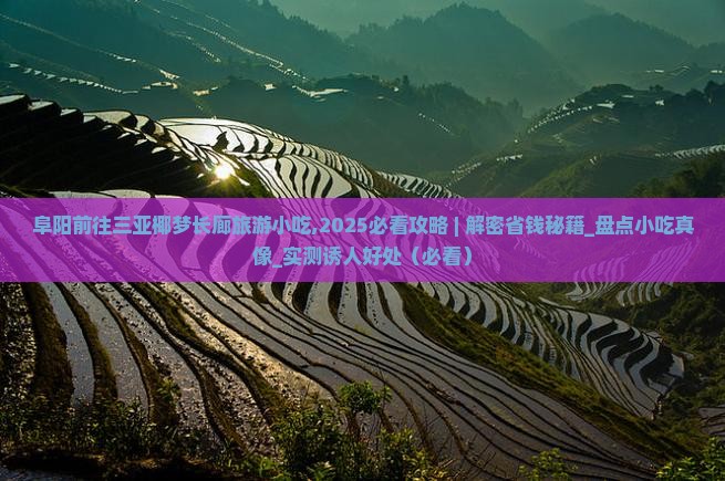 阜阳前往三亚椰梦长廊旅游小吃 阜阳前往三亚椰梦长廊旅游小吃
