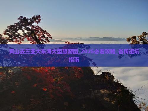 黄山去三亚大东海大型旅游团