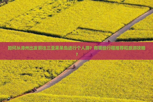 如何从漳州出发前往三亚呆呆岛进行个人游？有哪些行程推荐和旅游攻略？