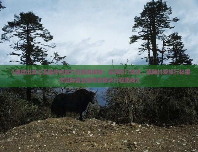 《曲靖出发三亚崖州古城六日旅游攻略：探寻热门景点，跟随抖爱旅行社重庆国际营业部看看精彩行程路线》