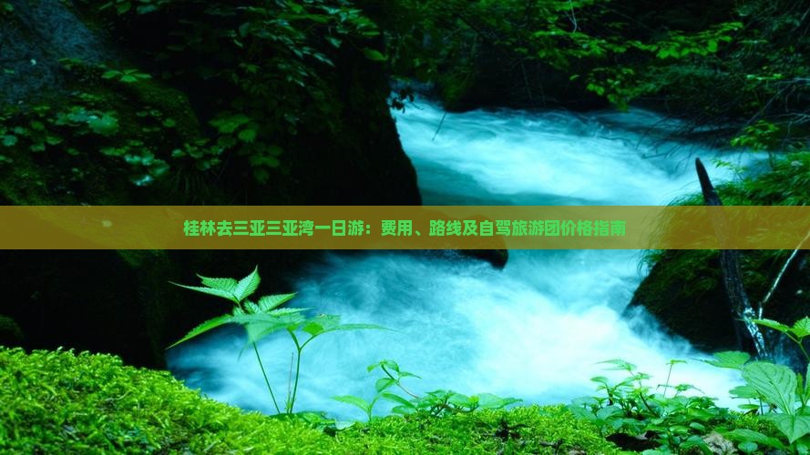 桂林去三亚三亚湾一日游：费用、路线及自驾旅游团价格指南