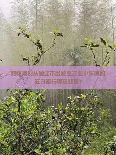 如何规划从通辽市出发至三亚小东海的五日游行程及预算？
