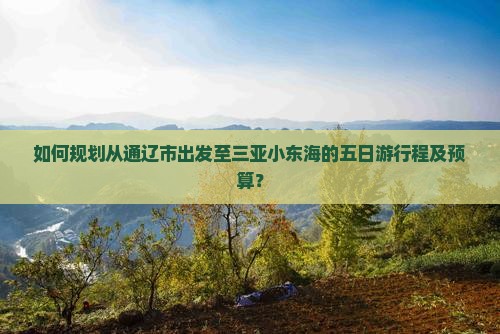 如何规划从通辽市出发至三亚小东海的五日游行程及预算？