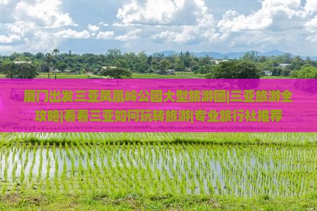 厦门出发三亚凤凰岭公园大型旅游团|三亚旅游全攻略|看看三亚如何玩转旅游|专业旅行社推荐