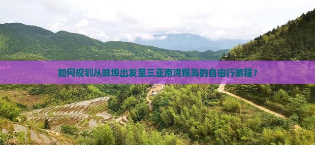 如何规划从蚌埠出发至三亚南湾猴岛的自由行旅程？