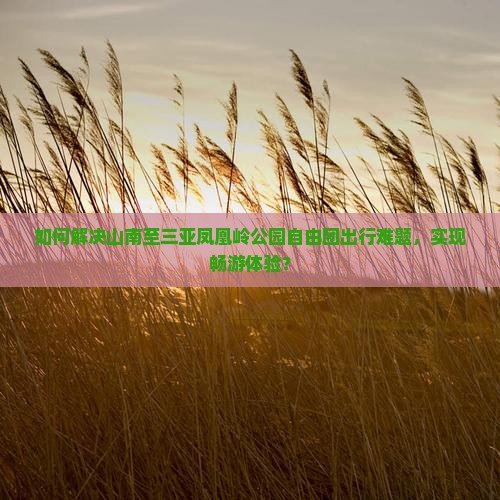 如何解决山南至三亚凤凰岭公园自由团出行难题，实现畅游体验？