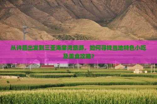 从许昌出发到三亚海棠湾旅游，如何寻找当地特色小吃及美食攻略？