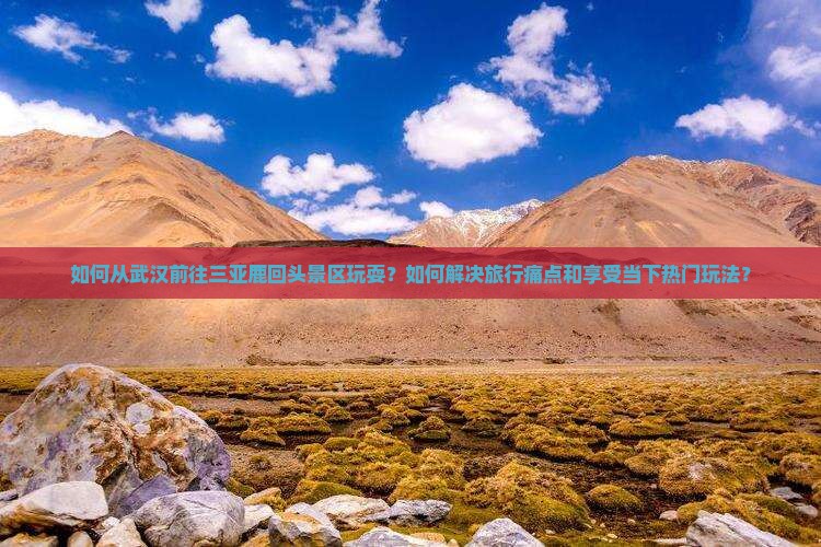 如何从武汉前往三亚鹿回头景区玩耍？如何解决旅行痛点和享受当下热门玩法？