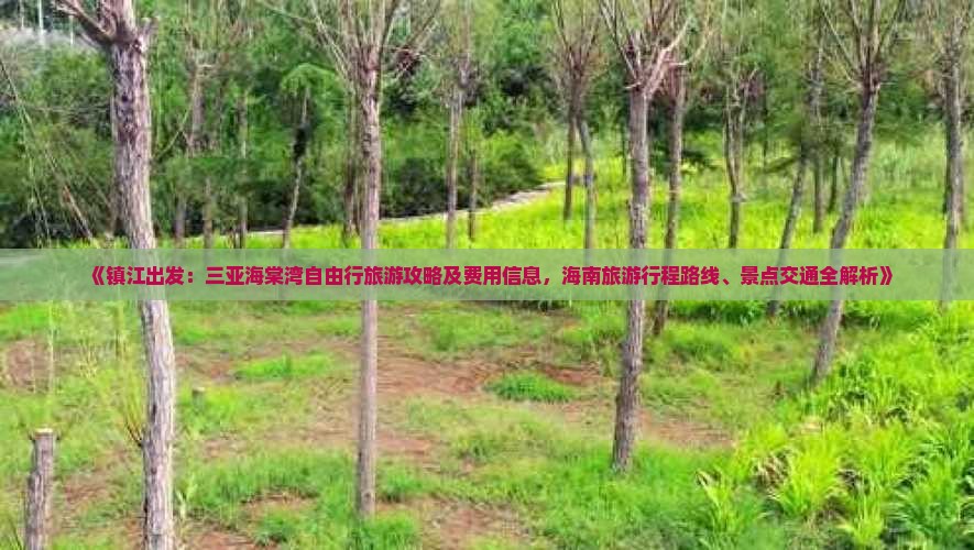 《镇江出发：三亚海棠湾自由行旅游攻略及费用信息，海南旅游行程路线、景点交通全解析》