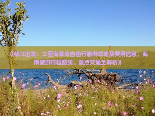 《镇江出发：三亚海棠湾自由行旅游攻略及费用信息，海南旅游行程路线、景点交通全解析》