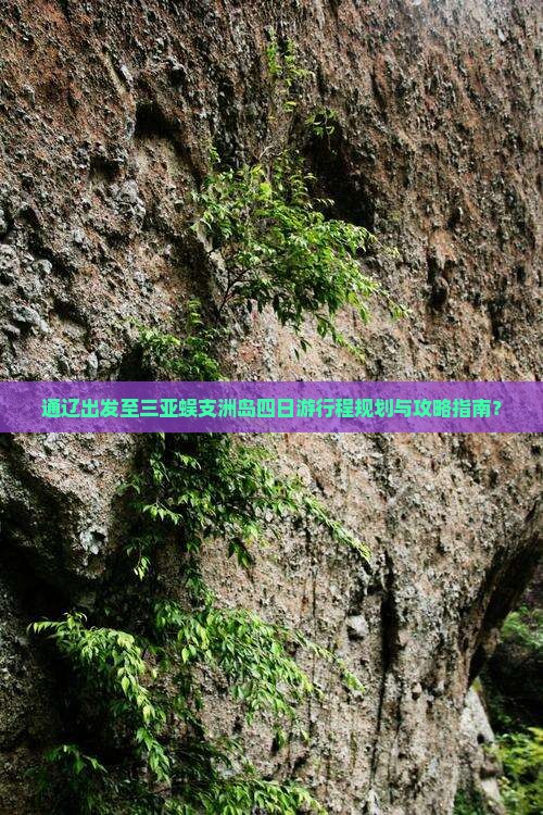 通辽出发至三亚蜈支洲岛四日游行程规划与攻略指南？