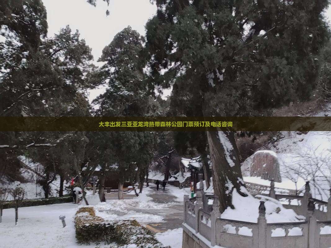大丰出发三亚亚龙湾热带森林公园门票预订及电话咨询