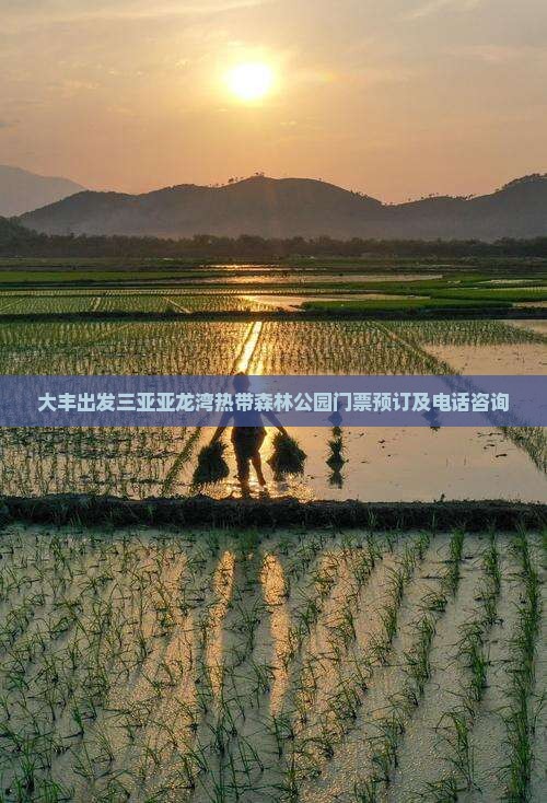 大丰出发三亚亚龙湾热带森林公园门票预订及电话咨询