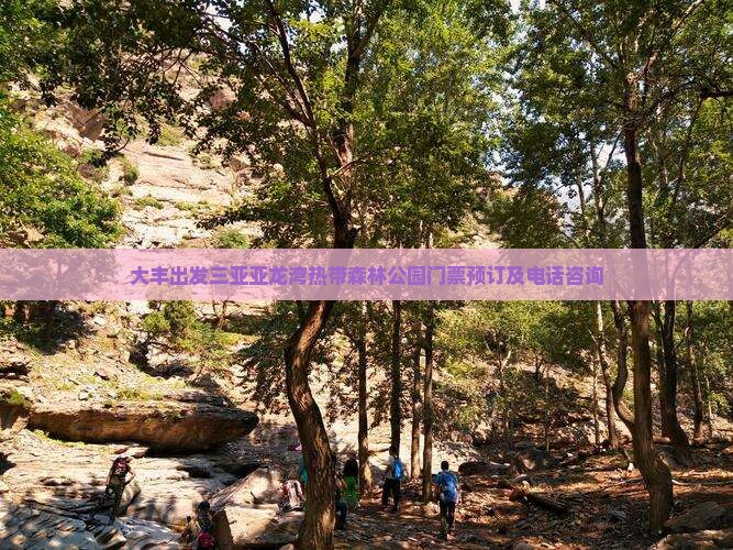 大丰出发三亚亚龙湾热带森林公园门票预订及电话咨询