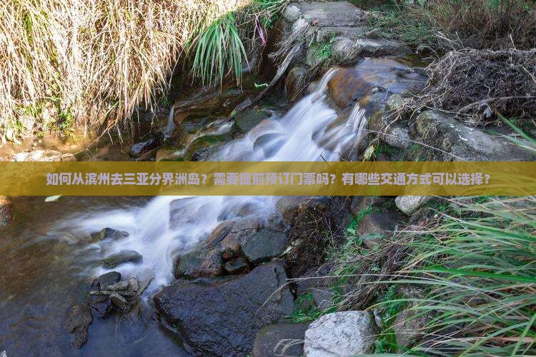 如何从滨州去三亚分界洲岛？需要提前预订门票吗？有哪些交通方式可以选择？