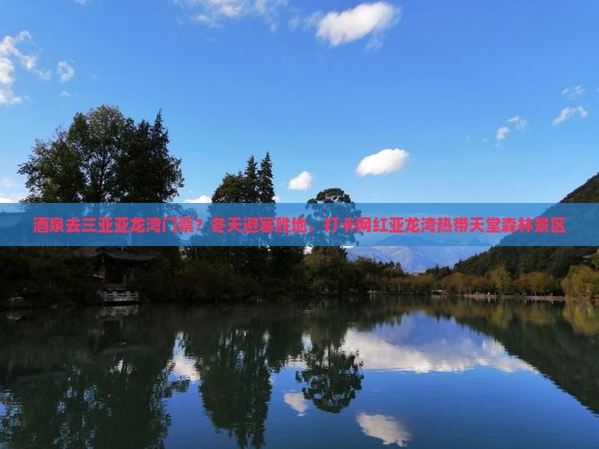 酒泉去三亚亚龙湾门票？冬天避寒胜地，打卡网红亚龙湾热带天堂森林景区