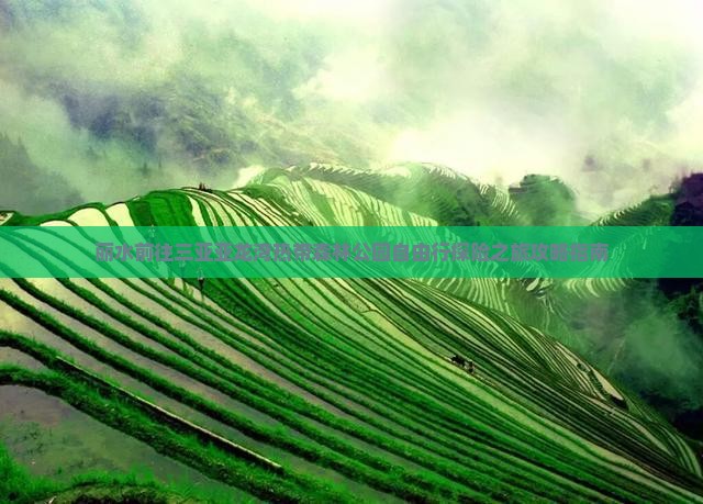 丽水前往三亚亚龙湾热带森林公园自由行探险之旅攻略指南