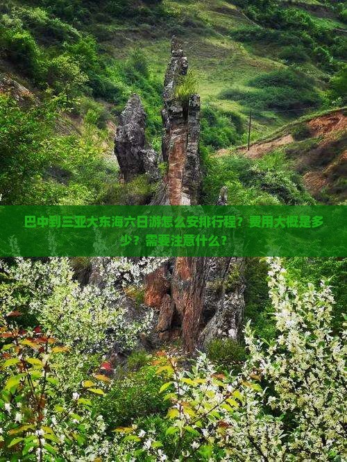 巴中到三亚大东海六日游怎么安排行程？费用大概是多少？需要注意什么？