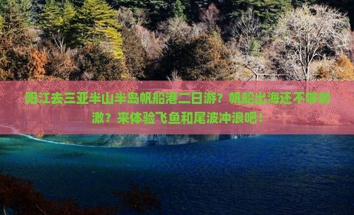 阳江去三亚半山半岛帆船港二日游？帆船出海还不够刺激？来体验飞鱼和尾波冲浪吧！
