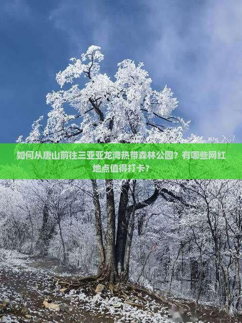 如何从唐山前往三亚亚龙湾热带森林公园？有哪些网红地点值得打卡？