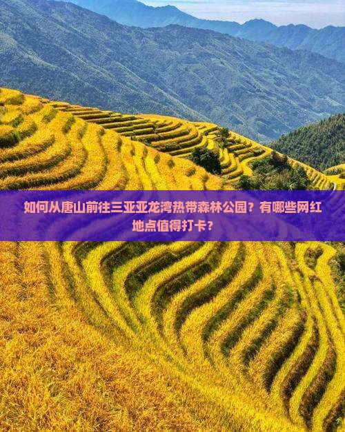 如何从唐山前往三亚亚龙湾热带森林公园？有哪些网红地点值得打卡？