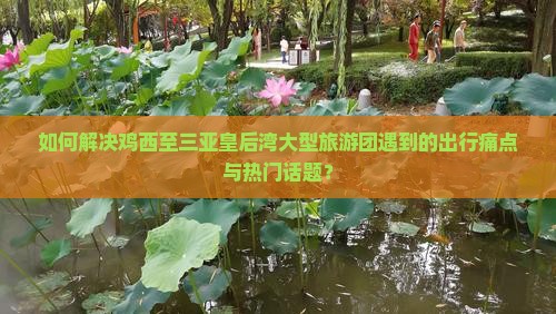 如何解决鸡西至三亚皇后湾大型旅游团遇到的出行痛点与热门话题？