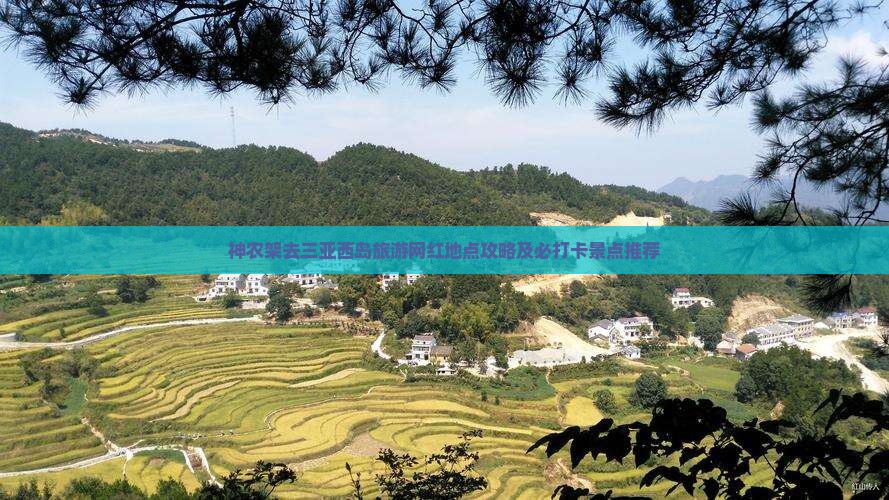 神农架去三亚西岛旅游网红地点攻略及必打卡景点推荐