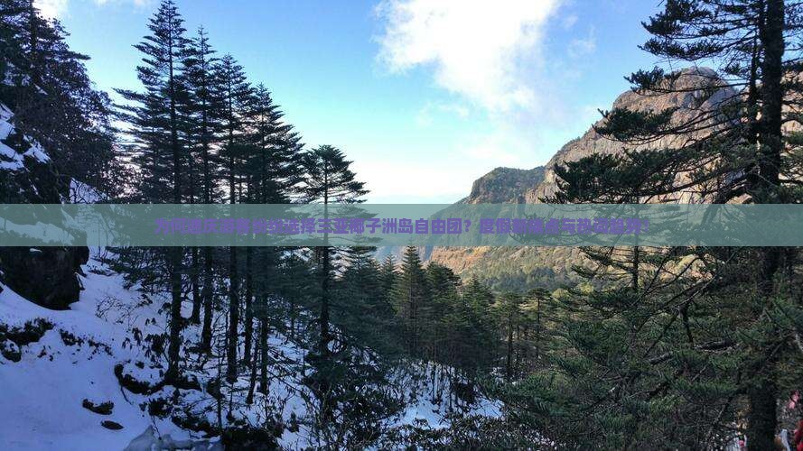 为何迪庆游客纷纷选择三亚椰子洲岛自由团？度假新痛点与热词趋势！