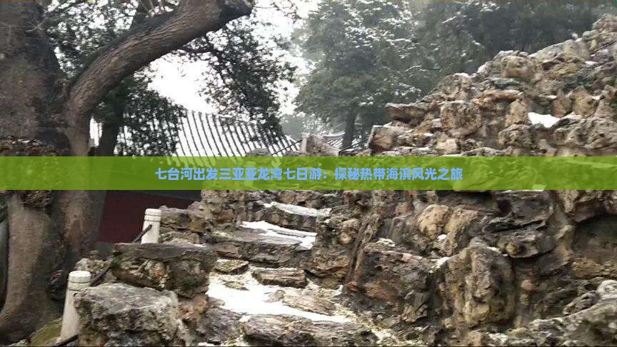 七台河出发三亚亚龙湾七日游：探秘热带海滨风光之旅