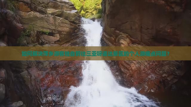 如何解决萍乡游客独自前往三亚呀诺达景区的个人游痛点问题？