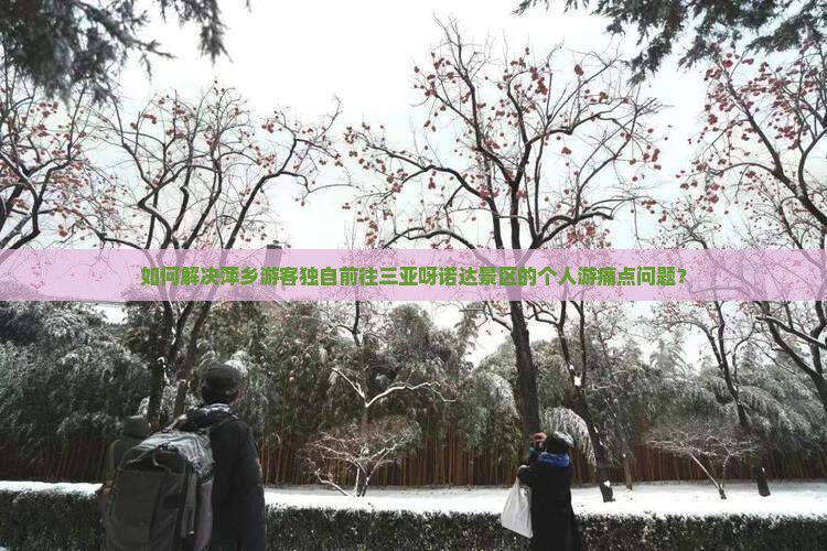 如何解决萍乡游客独自前往三亚呀诺达景区的个人游痛点问题？