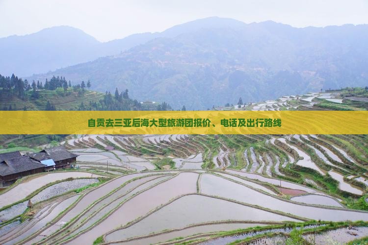 自贡去三亚后海大型旅游团报价、电话及出行路线