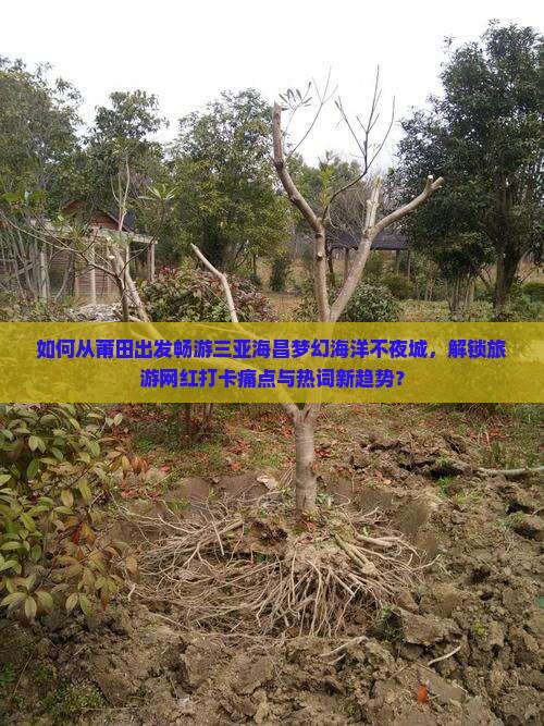 如何从莆田出发畅游三亚海昌梦幻海洋不夜城，解锁旅游网红打卡痛点与热词新趋势？