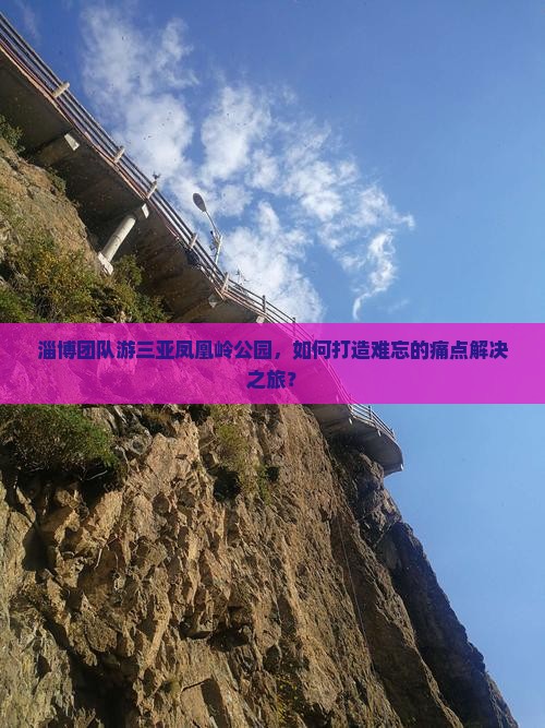 淄博团队游三亚凤凰岭公园，如何打造难忘的痛点解决之旅？