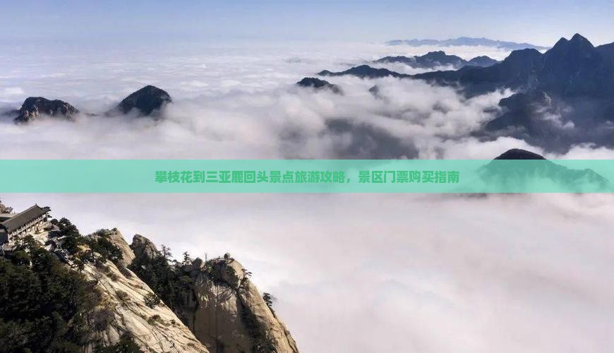 攀枝花到三亚鹿回头景点旅游攻略，景区门票购买指南