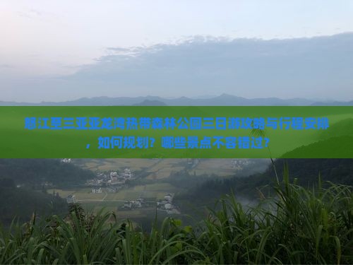 怒江至三亚亚龙湾热带森林公园三日游攻略与行程安排，如何规划？哪些景点不容错过？