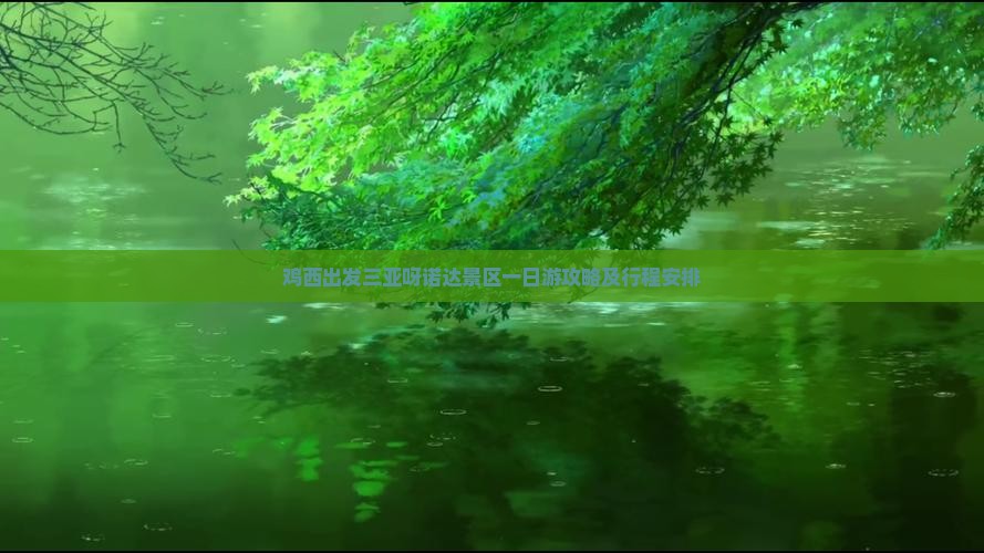 鸡西出发三亚呀诺达景区一日游攻略及行程安排