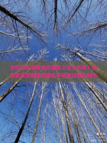 为何丹东游客纷纷涌向三亚小东海？旅游美食攻略里有哪些不容错过的热辣小吃？